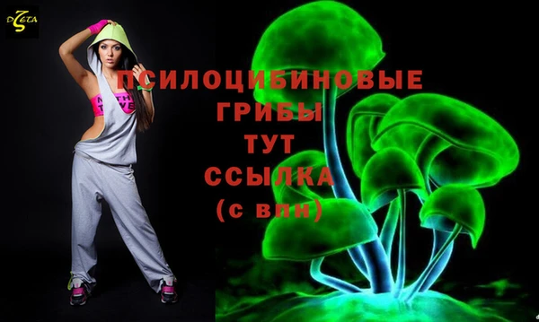 шишки Аркадак