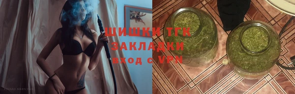 шишки Аркадак