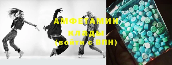шишки Аркадак