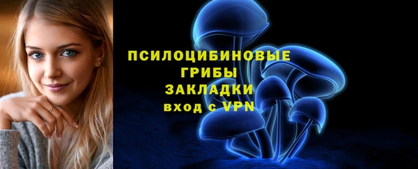 гидропоника Армянск
