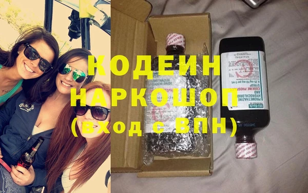 шишки Аркадак
