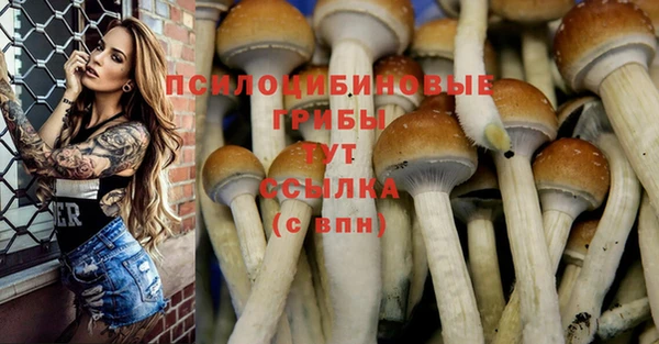 меф Арсеньев