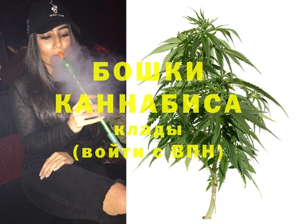 меф Арсеньев