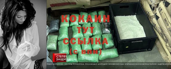 шишки Аркадак