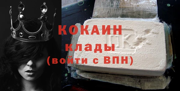 шишки Аркадак